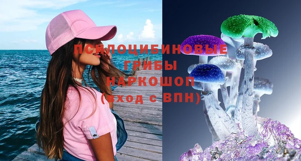 бутират Бородино