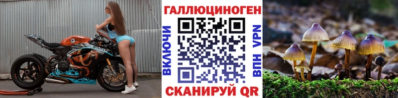 Псилоцибиновые грибы Cubensis  KRAKEN онион  Бугуруслан 